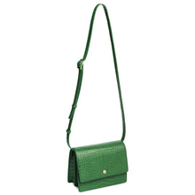 Load image into Gallery viewer, Croco Mini Messenger Courier - Fern
